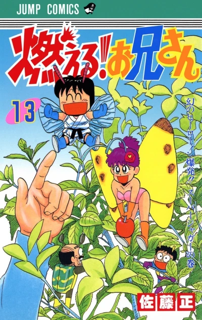 Cover of Volume #13