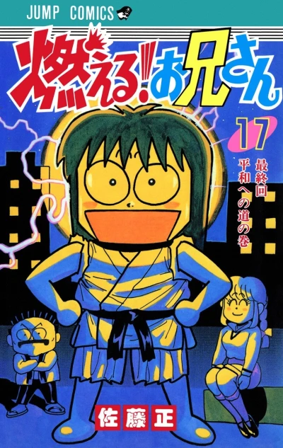 Cover of Volume #17