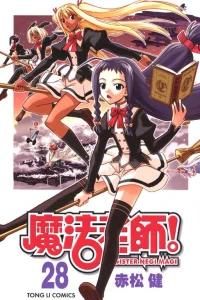 Vol. 28