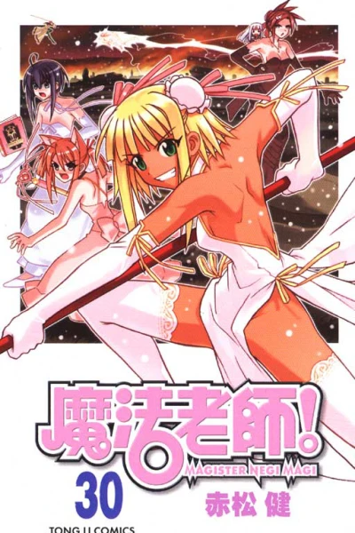 Cover of Vol. 30