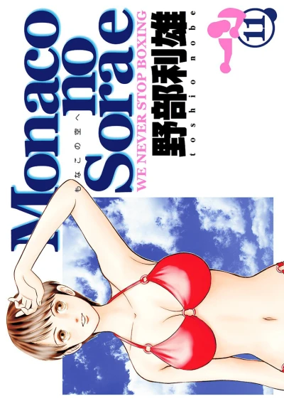 Cover of Vol. 11