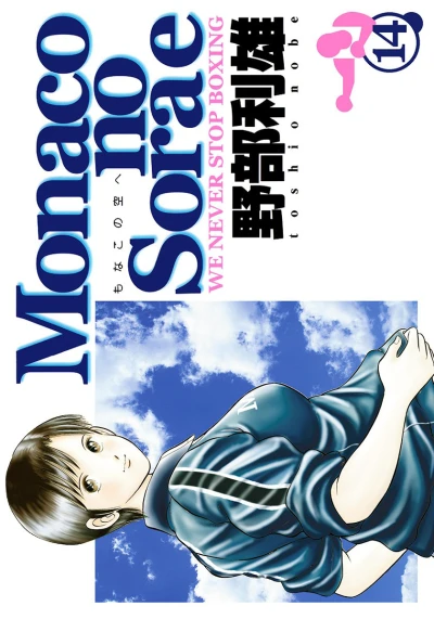 Cover of Vol. 14