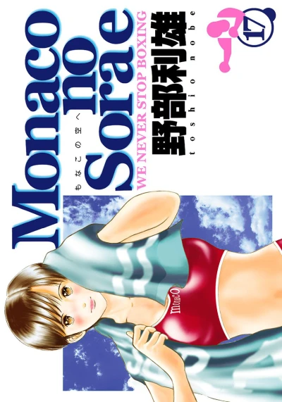 Cover of Vol. 17