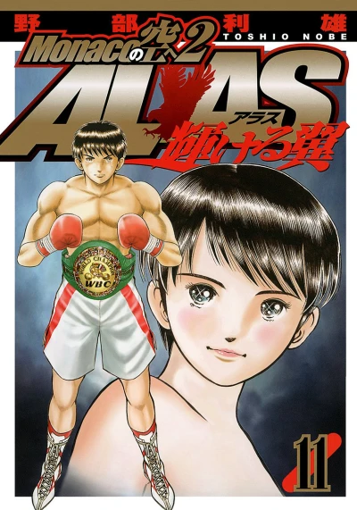 Cover of Vol. 11