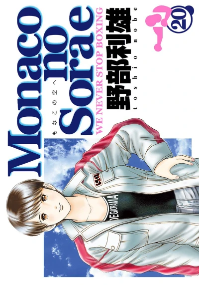 Cover of Vol. 20