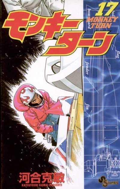 Cover of Vol. 17
