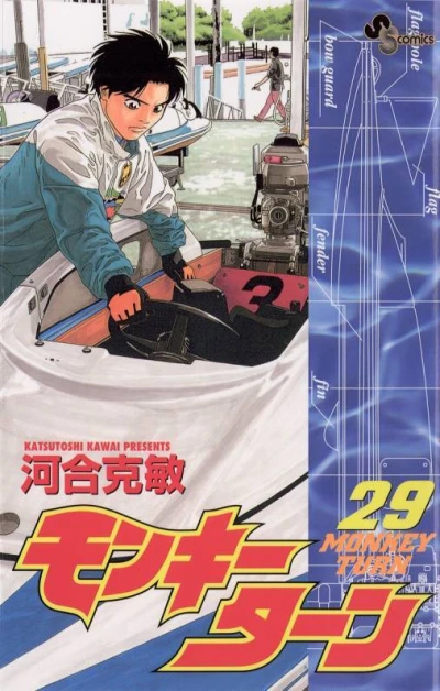 Cover of Vol. 29
