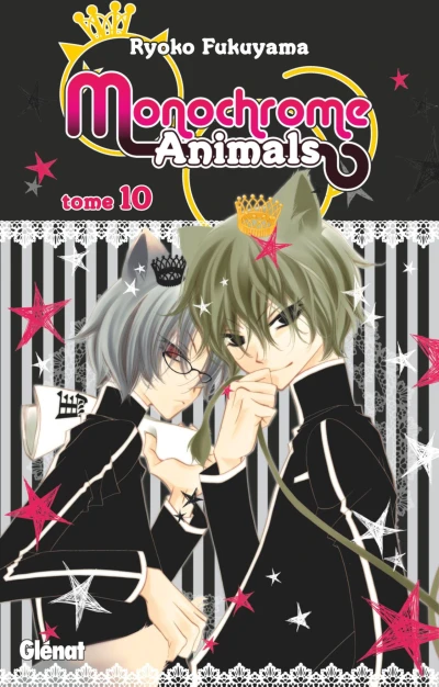 Cover of Tome 10