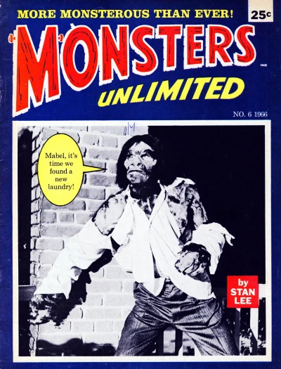 Cover of Issue #6