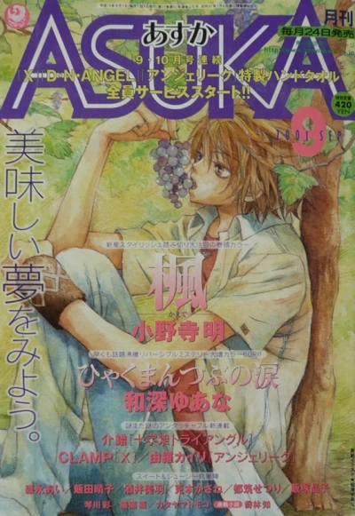 Cover of No. 9, 2001