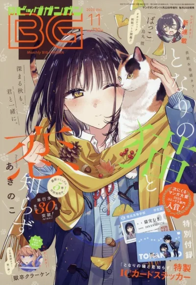 Cover of No. 11, 2025