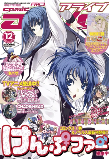Cover of No. 12, 2008