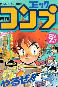 No. 9, 1988