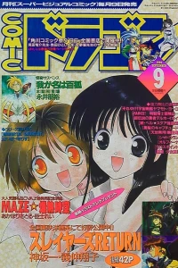 No. 9, 1996