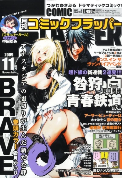 Cover of No. 11, 2009