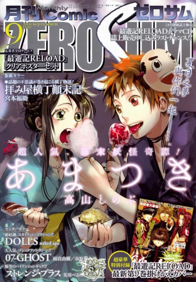 Cover of No. 9, 2008