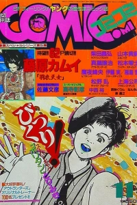 No. 11, 1985