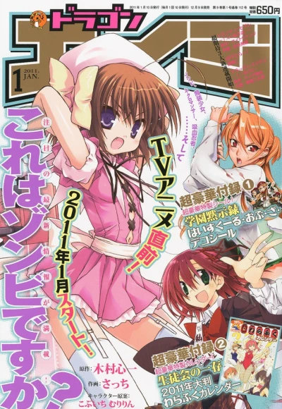 Cover of Dragon Age Jan. 2011