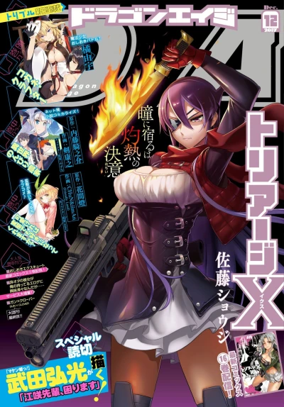 Cover of No. 12, 2017