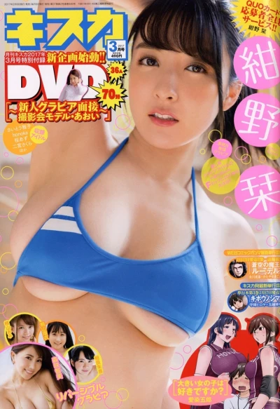 Cover of No. 3, 2017