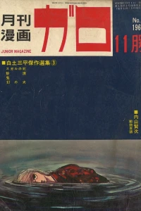 No. 11, 1964