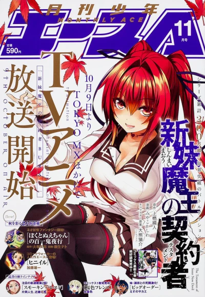 Cover of No. 11, 2015