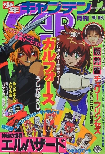 Cover of No. 12, 1996