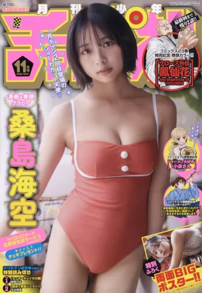 Cover of Volume #202511