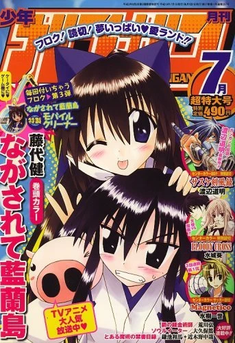 Cover of No. 7, 2007