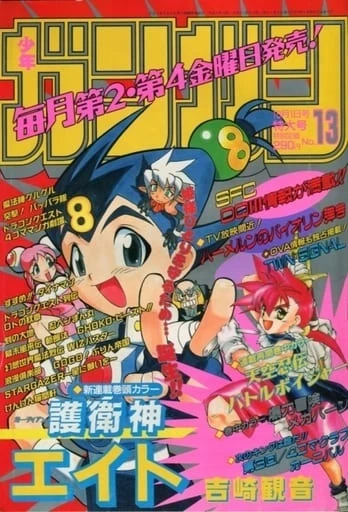 Cover of No. 13, 1996