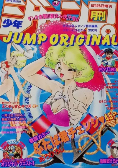 Cover of Volume #199308