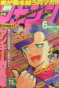 Issue #198906