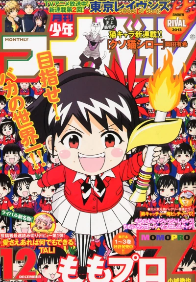 Cover of No. 12, 2013