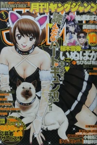 Issue #200810