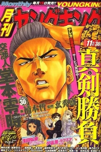 Cover of No. 11, 2007