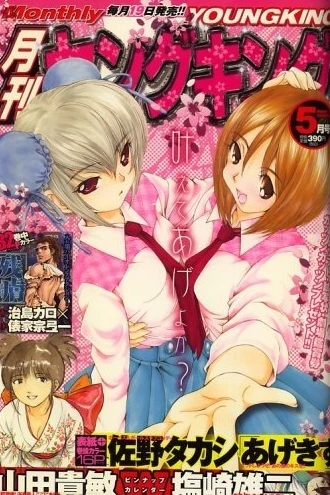 Cover of No. 5, 2008