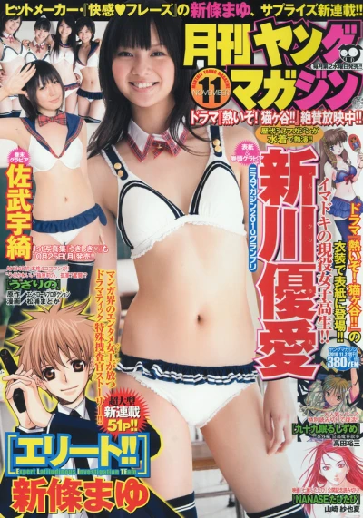 Cover of No. 11, 2010