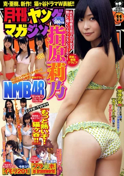 Cover of No. 11, 2011