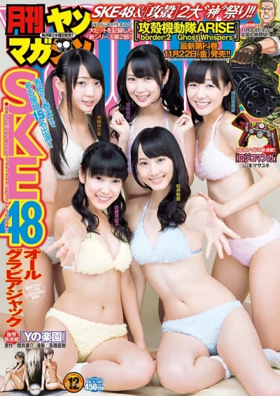 Cover of No. 12, 2013