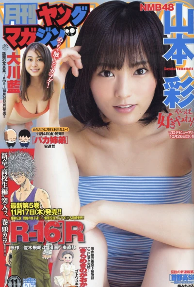 Cover of No. 11, 2016