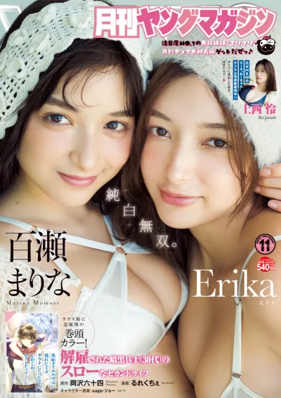 Cover of No. 11, 2025