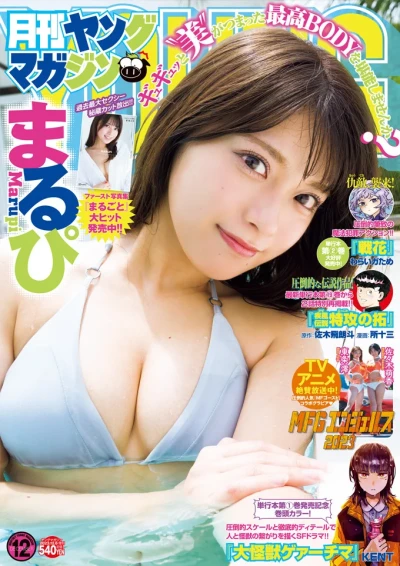 Cover of No. 12, 2023