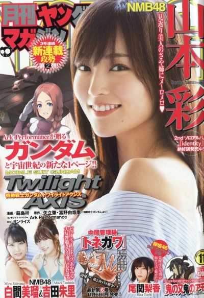 Cover of No. 11, 2017