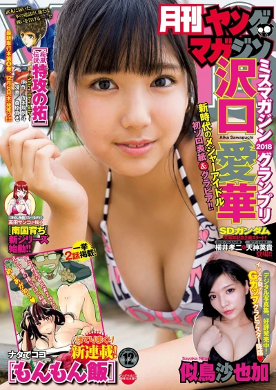 Cover of No. 12, 2018