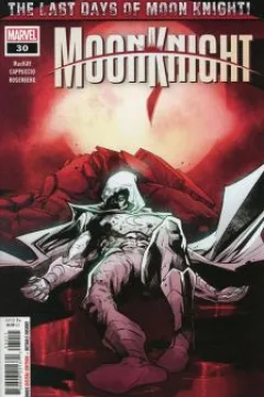 The Terminal Seconds of Moon Knight