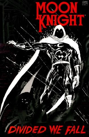 Cover of Divided We Fall