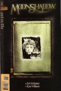 Through the Window