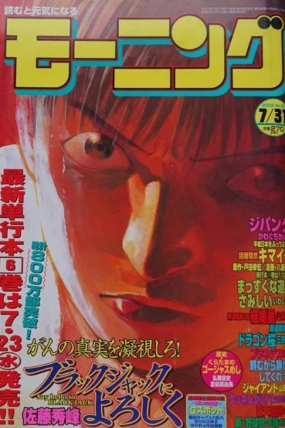 Cover of No. 33, 2003