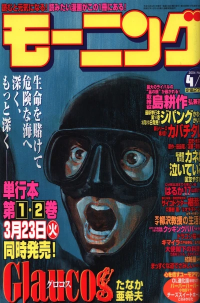Cover of No. 16, 2004