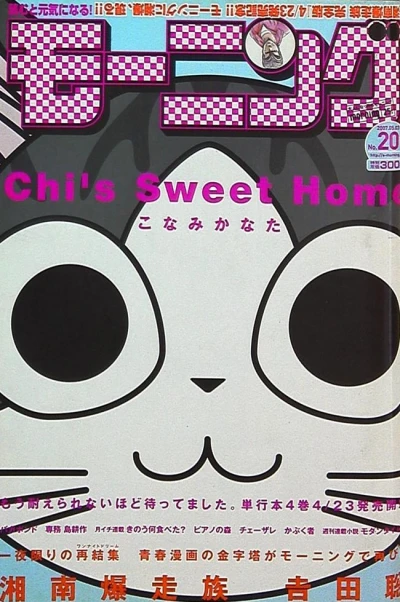 Cover of No. 20, 2007